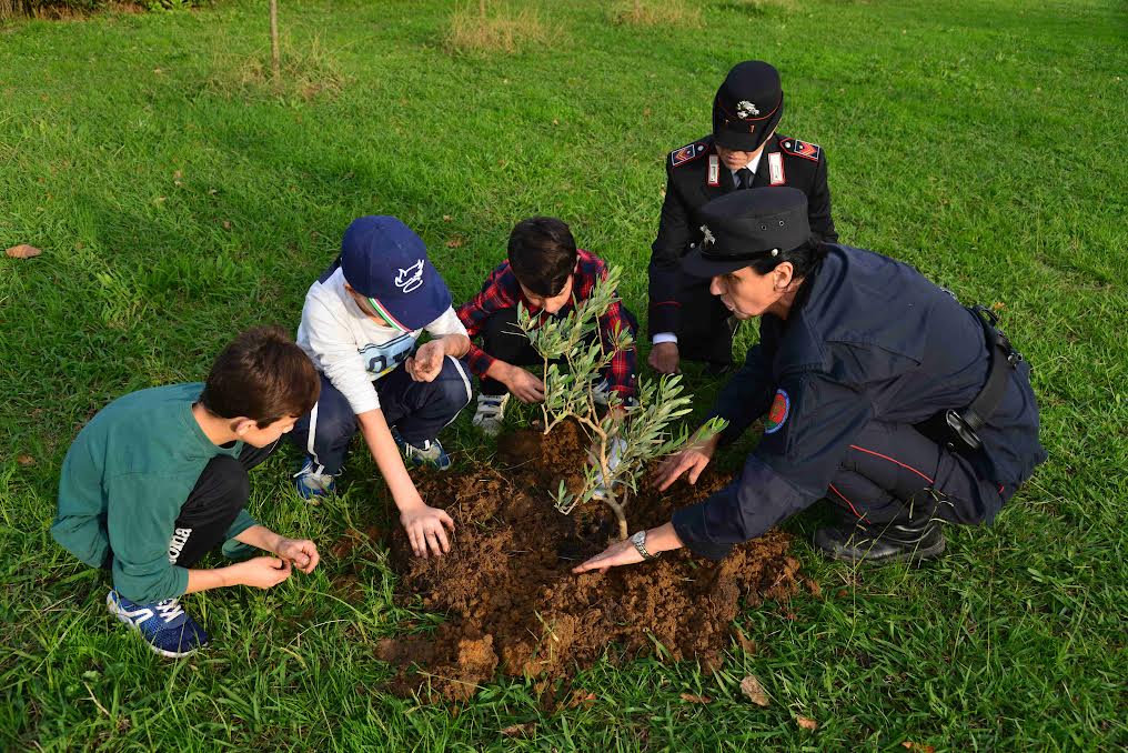 Con il Raggruppamento Carabinieri Biodiversità “Un albero per il Futuro sbarca alle Eolie